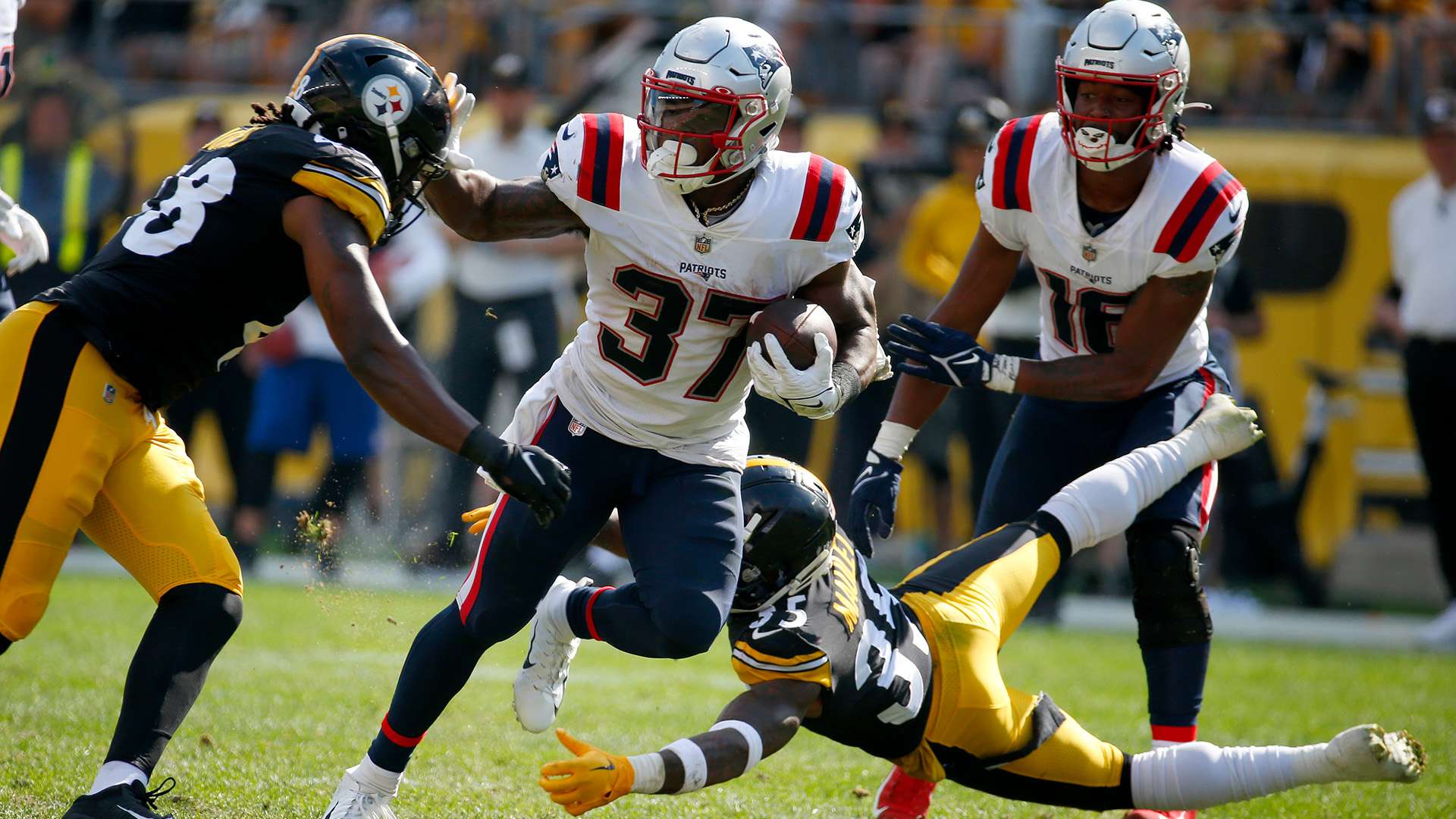 划的坚定信 划的坚定信